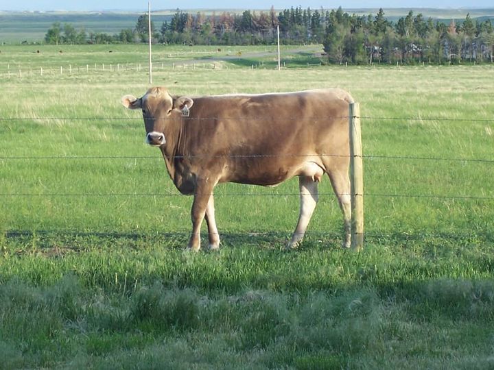 Real Food Kitchen Tour: The Prairie Homestead