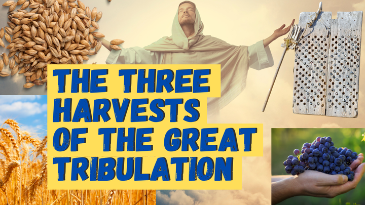 The Three Harvests of the Great Tribulation (Video)